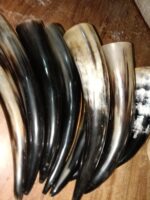 POLISHED DRINKING HORN 12 – 14” INCH - Image 12