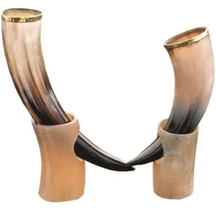 POLISHED DRINKING HORN 12 – 14” INCH