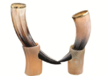 POLISHED DRINKING HORN 12 – 14” INCH - Image 10